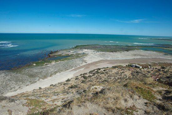 Tangol Puerto Madryn